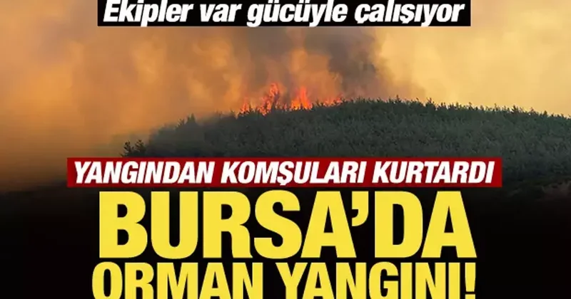 Son Dakika: Bursa da orman yangını! Ekipler var gücüyle çalışıyor