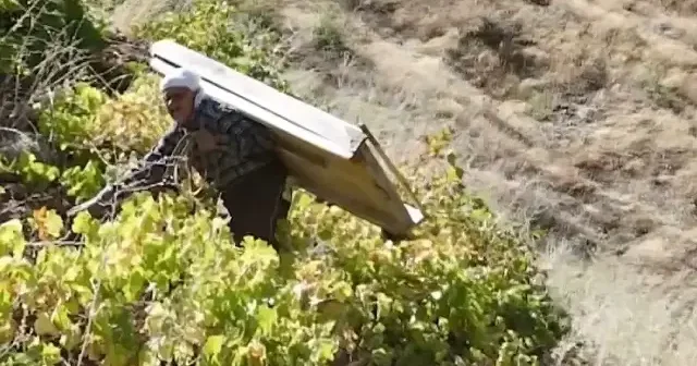 80 yaşındaki Süso dede yaptığı işle gençlere taş çıkarıyor VİDEO İZLE