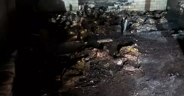 Niğde haberleri Niğde de besiciyi kahreden manzara: 170 koyun yanarak telef oldu! 05 Ekim 2025