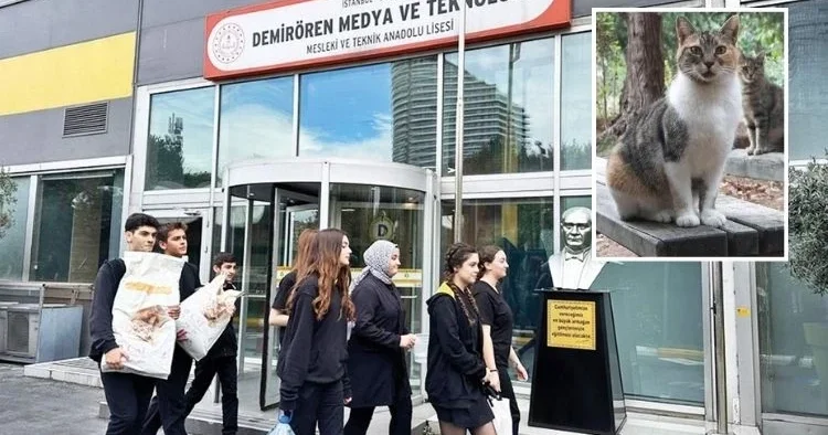 Demirören MTAL’den patili dostlara mama