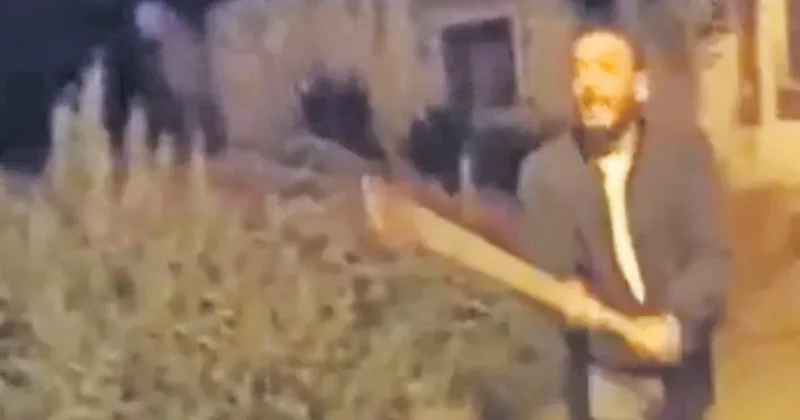 Baltayla kayınvalidesine saldırdı