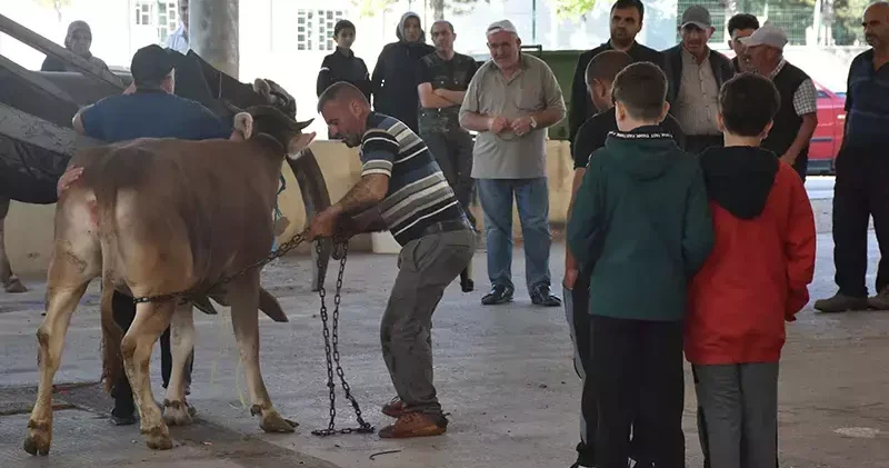 Sivas ta kurban kesim noktalarında hareketlilik
