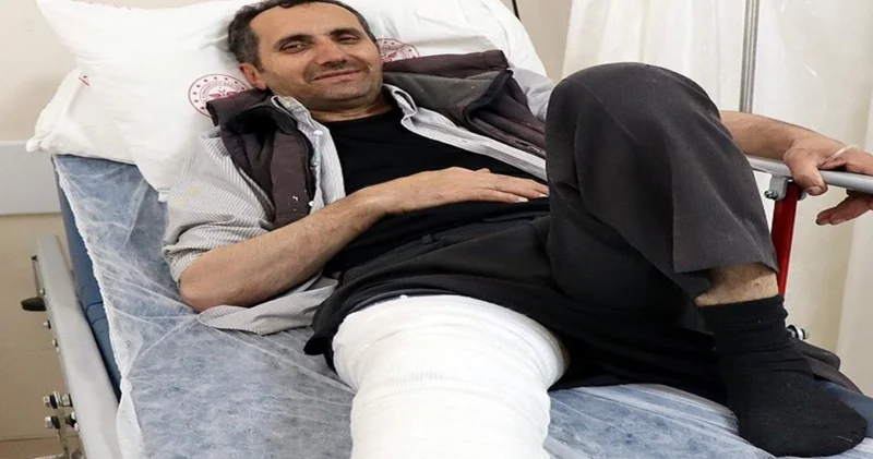 Kurbanlık boğayı keserken üzerine düştü bacağı kırıldı