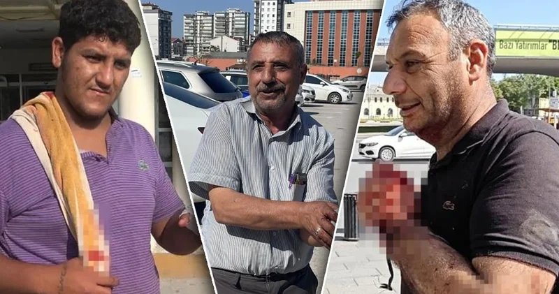 Yurttan acemi kasap manzaraları!