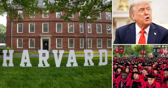Trump ın Harvard kararına federal yargıçlardan red: Yabancı öğrencilerin vize kısıtlama kararı durduruldu Avrupa Haberleri
