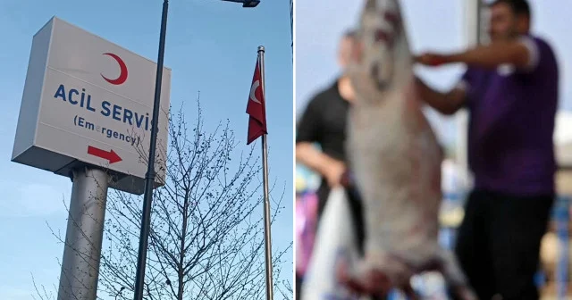 İstanbul da bayramın ilk gününde acemi kasap bilançosu: 776 yaralı İstanbul Haberleri