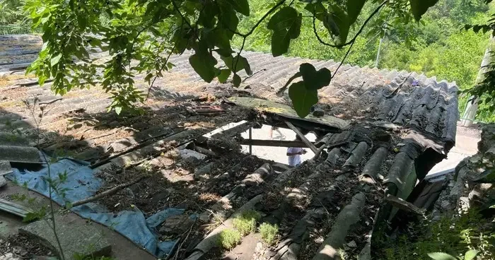 İpini koparan boğa 3 metre yükseklikten otomobilin üzerine düştü