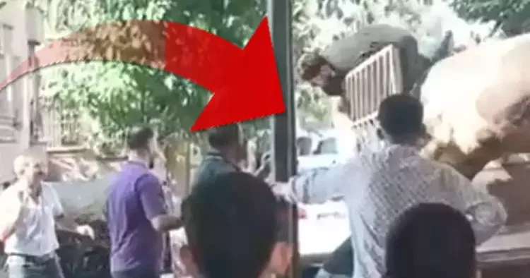 Bunu hiç beklemiyorlardı... Bir anda çığlık sesleri yükseldi: Kızgın boğanın kurbanı oldular