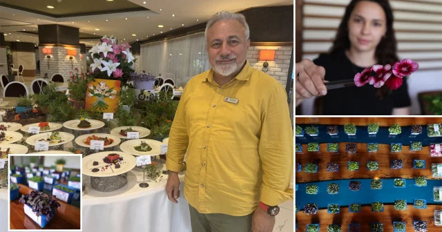 Yenilebilir çiçekler restoranların menülerini süslüyor Gündem Haberleri