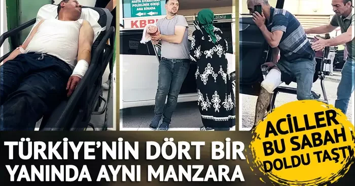 Kimini dana sıkıştırdı kimi kendi kendini kesti! Bu kez sadece acemi kasaplar değil... 1 saatte 23 kişi acil servise koştu