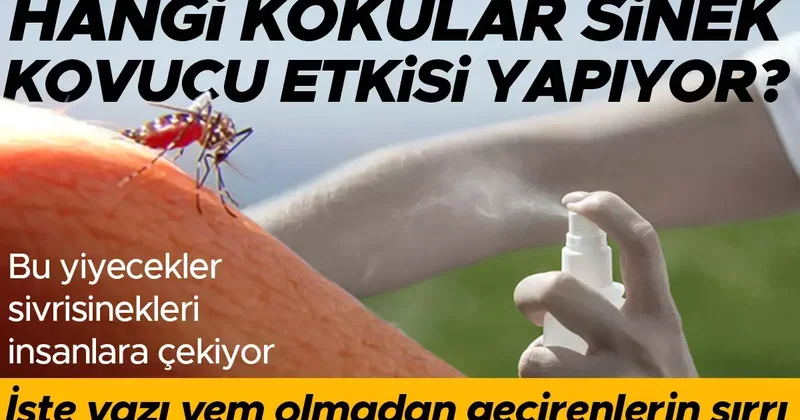 Yaz aylarını sivrisineklere yem olmadan geçirenlerin sırrı ne? Hangi kokular sinek kovucu etkisi yapıyor? Bu yiyecekler sinekleri insanlara çekiyor