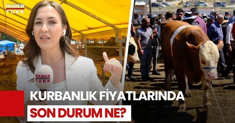 Kurbanlık Fiyatında Düşüş Var Mı?