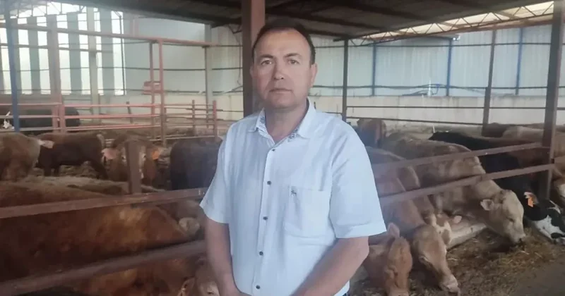 Kurbanlık dana ile selfie çekmek isterken öldü Sözcü Gazetesi