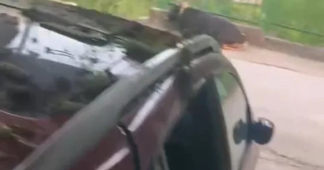 Kurbanlık boğa çıktığı garaj çatısı çökünce otomobilin üzerine düştü Kocaeli Haberleri