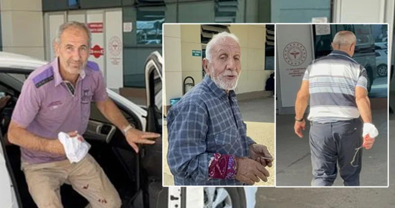 Gelenek bozulmadı! Sadece Düzce de 92 yaralı! Kendimizi kesiyoruz! Son dakika haberleri