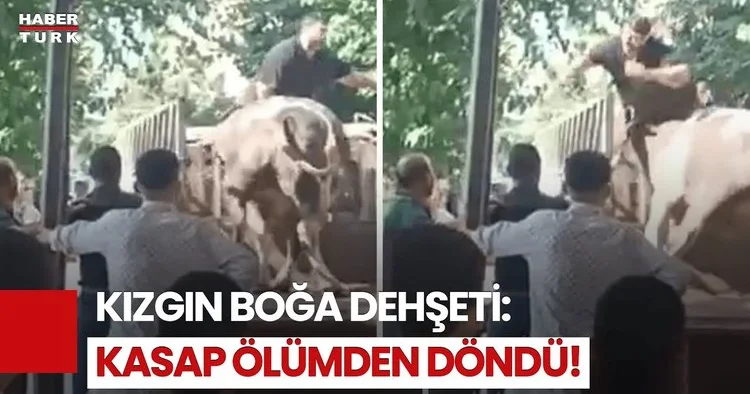 Kurban Bayramı Klasiği! Kaçan Kurbanlıklar Sokak Sokak Kovalandı!