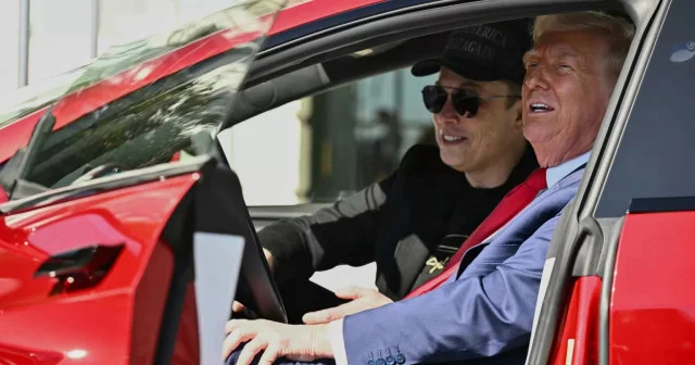 Trump, Elon Musk ın aklını kaçırdığını söyledi Dünya Haberleri