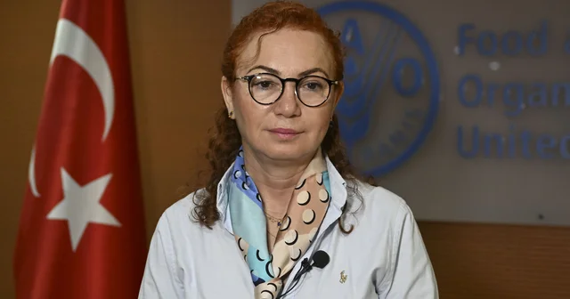 FAO ya göre, her yıl 600 milyon kişi gıda kaynaklı hastalıklarla savaşıyor Ankara Haberleri