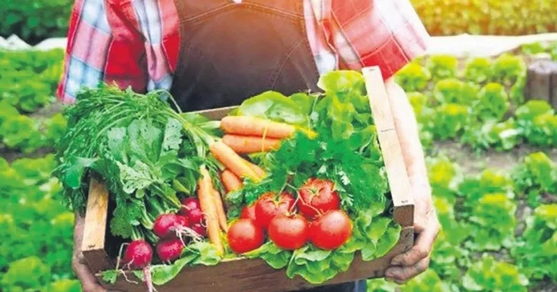 Ticaret Bakanlığı’ndan kooperatif atağı