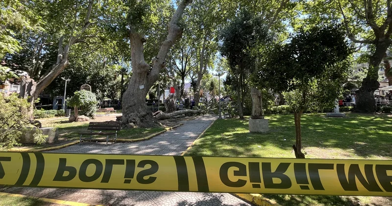 Çınar ağacının kırılan dalının altında kalıp can verdi