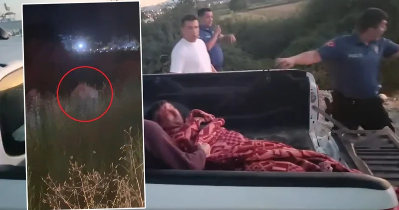 Antalya da aslan alarmı! 1 kişiyi yaraladı, ormanda arama çalışmaları sürüyor