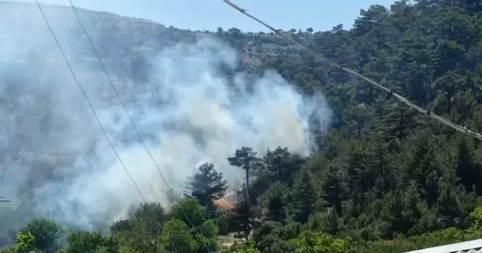 Mersin de orman yangını! 1 dönümlük alan yandı