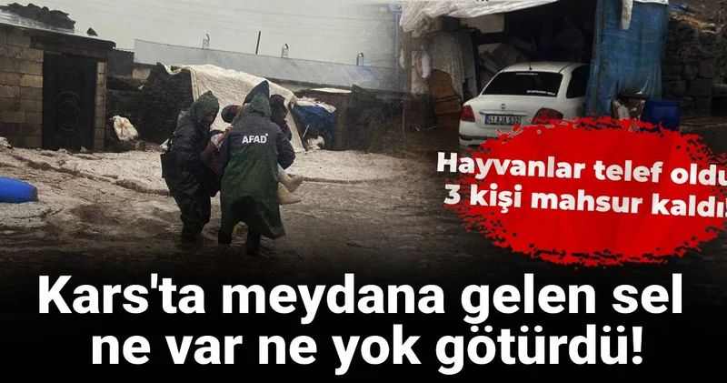 Kars ta meydana gelen sel ne var ne yok götürdü! Hayvanlar telef oldu, 3 kişi mahsur kaldı