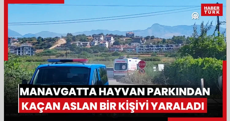 Manavgatta hayvan parkından kaçan aslan bir kişiyi yaraladı