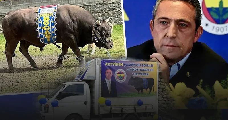 Ali Koç un boğası Artvin de kaybetti Sözcü Gazetesi