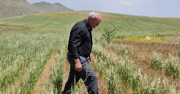 Bitlis haberleri Çiftçi şoke eden hadise: 15 gün içinde tüm emeği yok oldu 06 Temmuz 2025