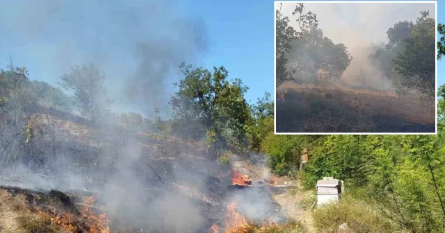 Zonguldak ta ormanlık alanda çıkan yangına ekipler müdahale etti Zonguldak Haberleri