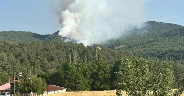 Bolu da orman yangını Bolu Haberleri