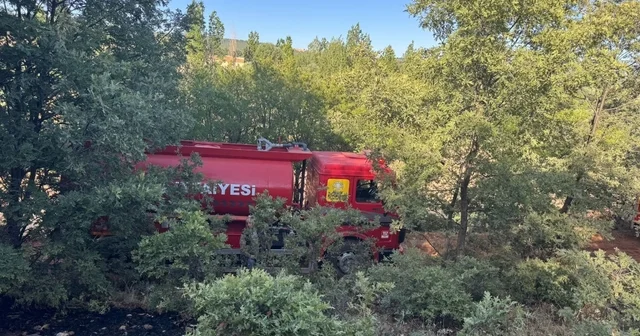 Konya da orman yangını, kısa sürede söndürüldü Konya Haberleri