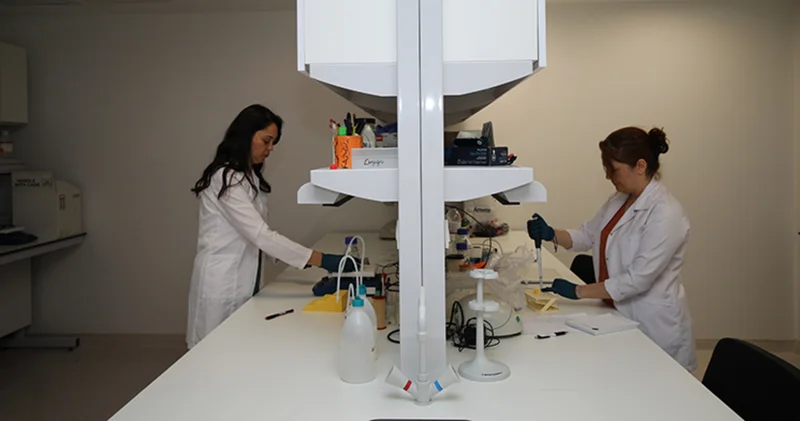 Akdeniz Üniversitesi organ nakillerinde kullanılan ilaç ve malzemelerin üretimi için çalışacak Sağlık Haberleri