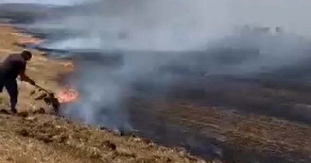 Silivri’de anız yangınına vatandaşlar seferber oldu: Traktörler ve çalılarla müdahale ettiler VİDEO İZLE