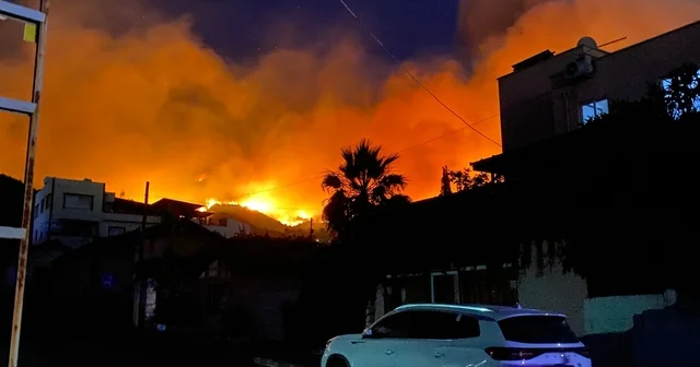 Hatay daki orman yangınına ilişkin 1 gözaltı Hatay Haberleri