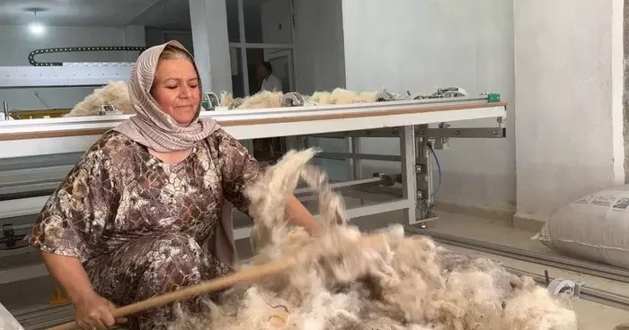Çöpten topladığı yünlerle iş kurdu