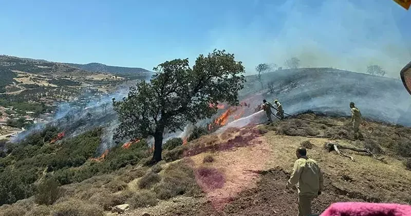 Çanakkale’de maki yangını
