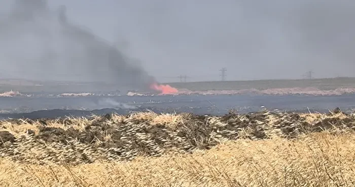 Silivri de arazide çıkan yangın söndürüldü
