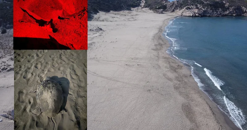 Patara için eylem planı: İnsan faaliyetleri sınırlandırılacak