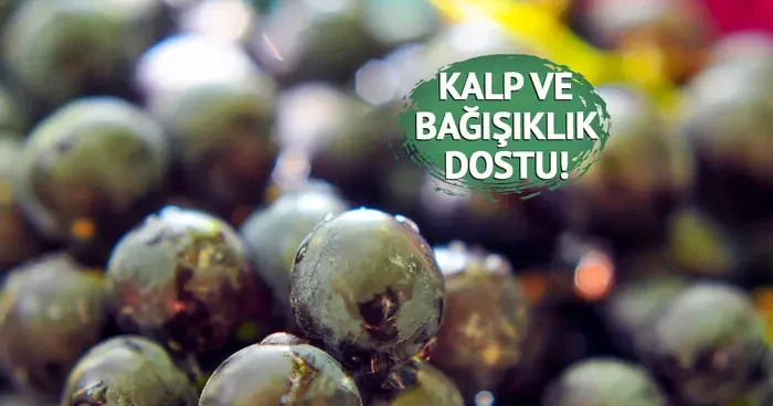 Binlerce yıllık şifa kaynağı: Yorgunluğu azaltır, kan basıncını düzenler! Faydaları say say bitmiyor