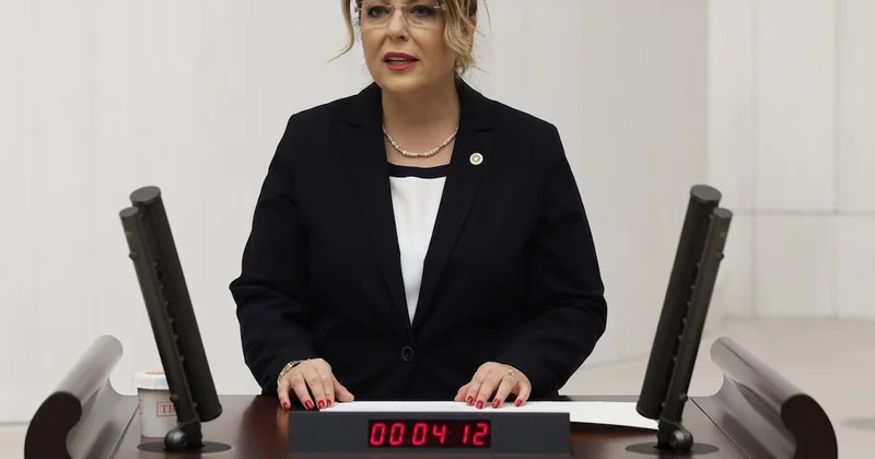 CHP den fındık taban fiyatına tepki! Sözcü Gazetesi