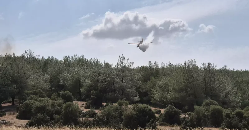 Edirne ve Tokat ta orman yangını: Alevler rüzgarın etkisiyle büyüyor!