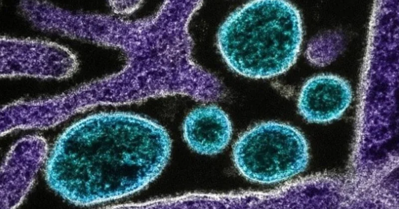 Çin’de chikungunya virüsü alarmı: Sivrisinek kaynaklı salgın büyüyor