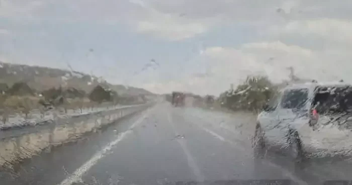 Edirne deki orman yangınında imdada yağmur yetişti