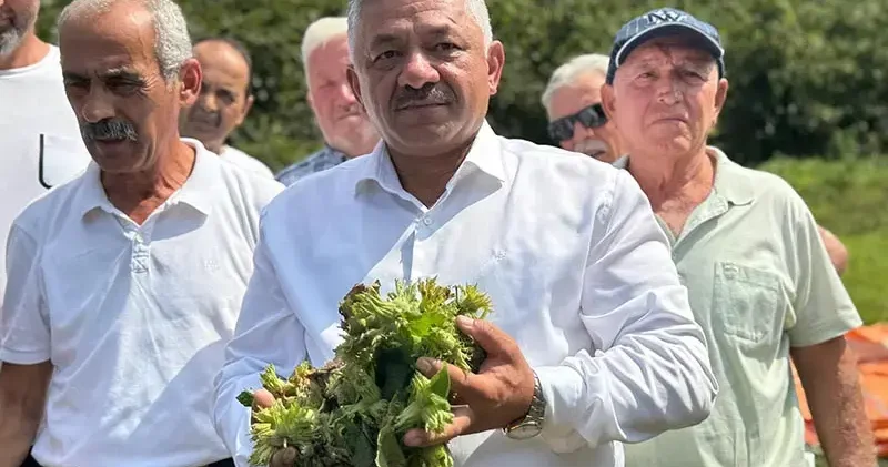 TZOB Üyesi Soydan: Fındığı tabanın üzerinde fiyat oluşması için kontrollü şekilde pazara indireceğiz