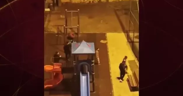 Vatandaşın parka zarar veren çocuklara tepkisi gündem oldu