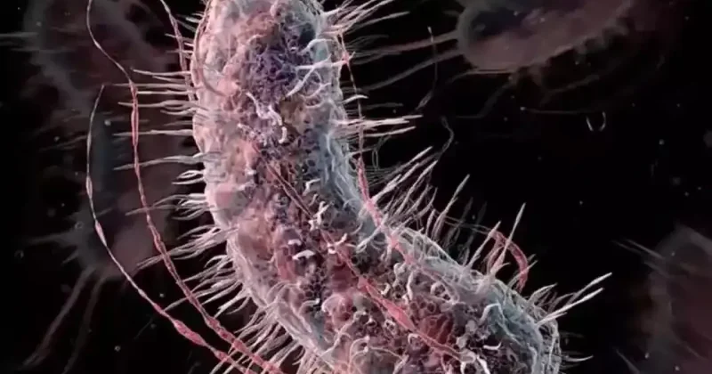 Et yiyen bakteri Türkiye de görüldü mü? Açıklama geldi..