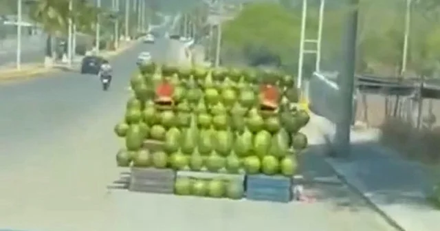 Malatya da canı sıkılan gençler araçla karpuz tezgahına daldı VİDEO İZLE