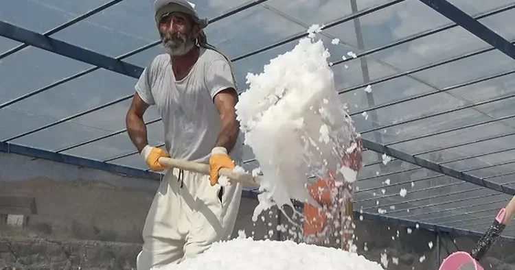 Osmanlı’dan günümüze 450 yıllık mucize! Dünyada eşi benzeri yok